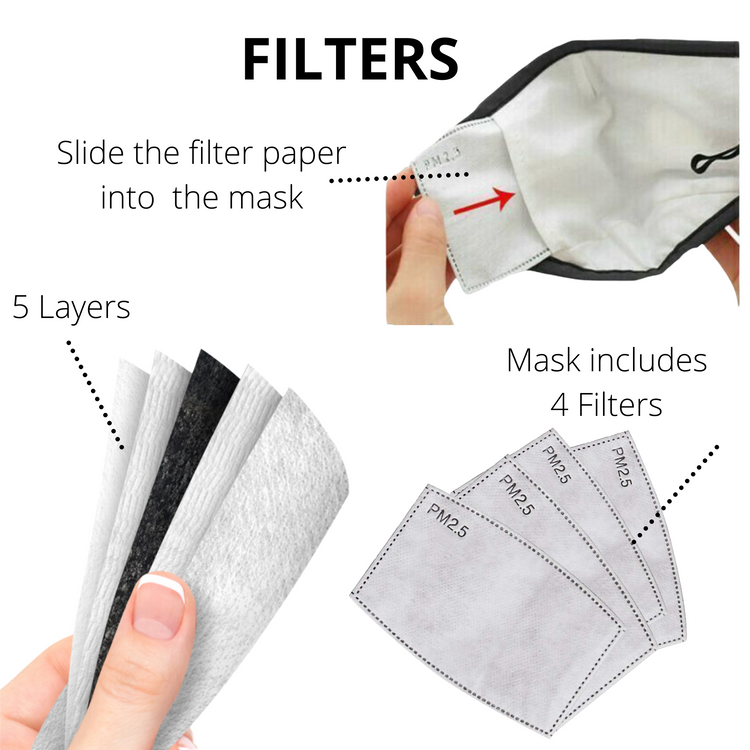 mask with replaceable filters