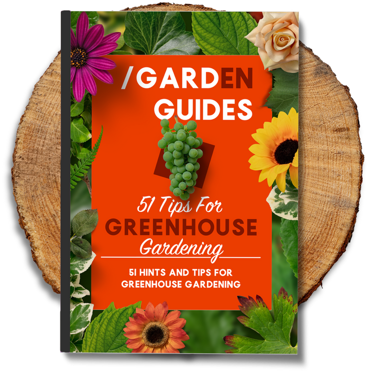 Tips for greenhouse gardening