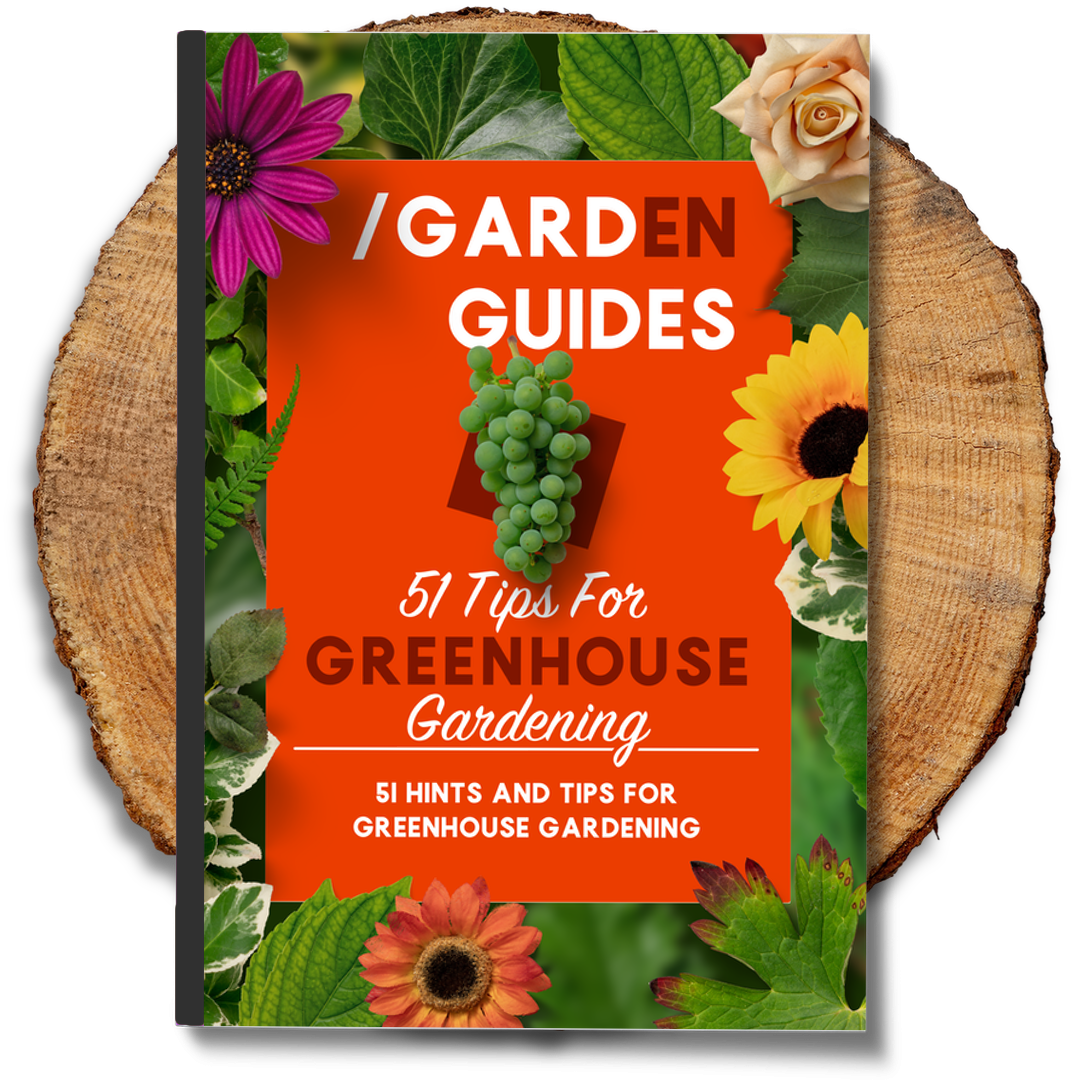 Tips for greenhouse gardening