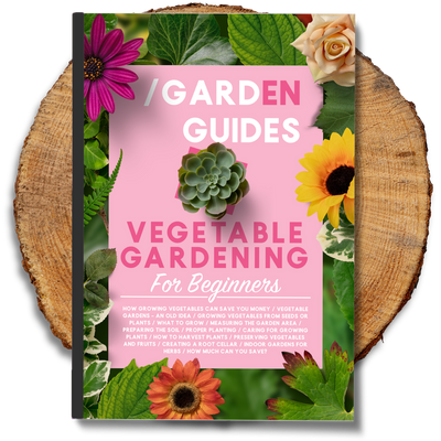 Vegetable Gardening For Beginners