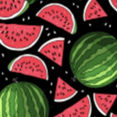 Child Face Mask Reusable with Filter Pocket | Cloth mask with two 2.5 Filters- Watermelon Face masks