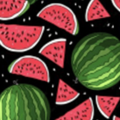 Child Face Mask Reusable with Filter Pocket | Cloth mask with two 2.5 Filters- Watermelon Face masks