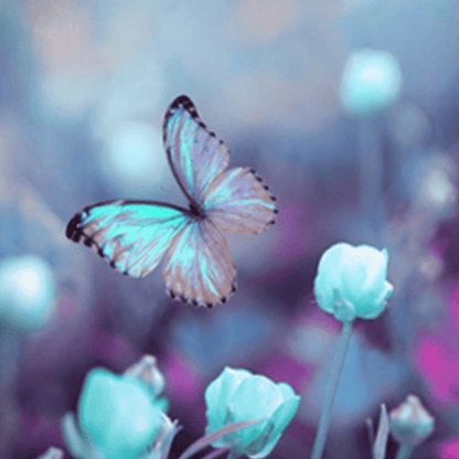 Child Face Mask Reusable with Filter Pocket | Two 2.5 Filters- Butterfly Beauty Face masks