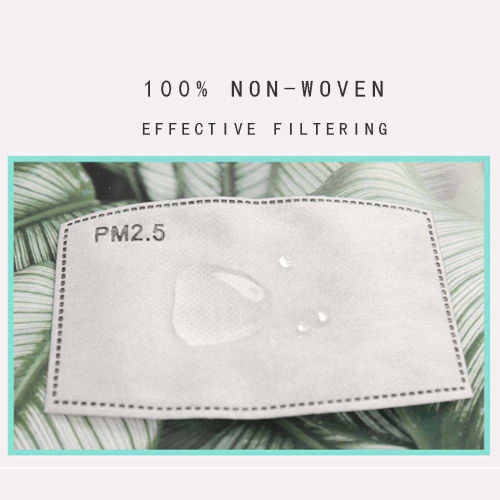 Face Mask Pm 2.5 Activated Carbon Face Mask Filters  | Child Size 30Pk Filters