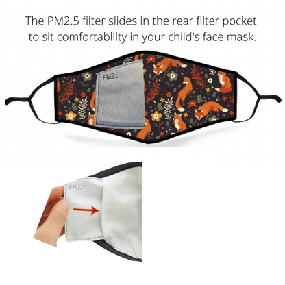 Face Mask Pm 2.5 Activated Carbon Face Mask Filters  | Child Size 30Pk Filters