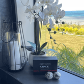 Flower Bath Bomb Gift Set – 6 Natural Scents with Dried Flowers Bath bombs