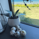 Flower Bath Bomb Gift Set – 6 Natural Scents with Dried Flowers Bath bombs