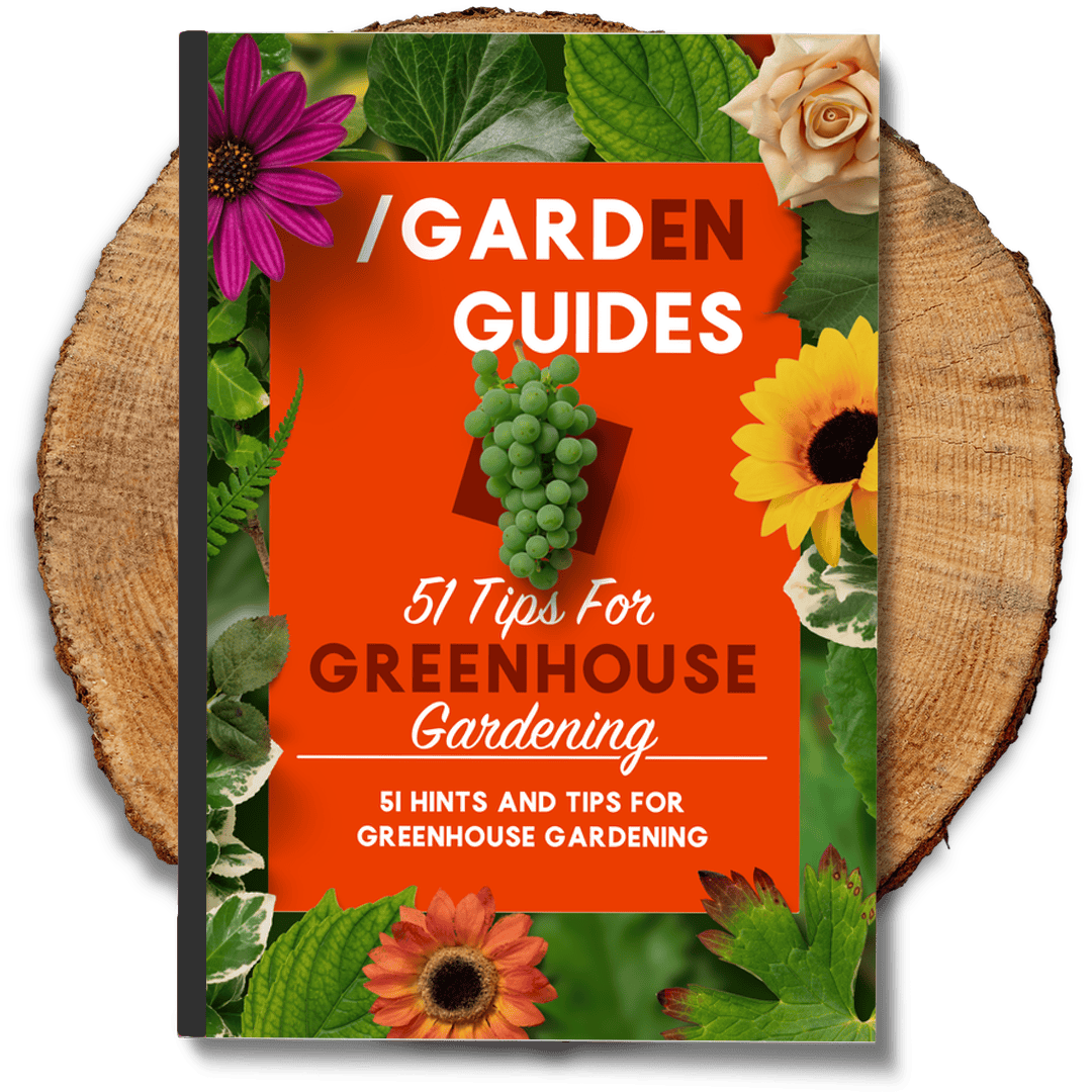 Greenhouse Gardening | 51 Tips to get Ahead