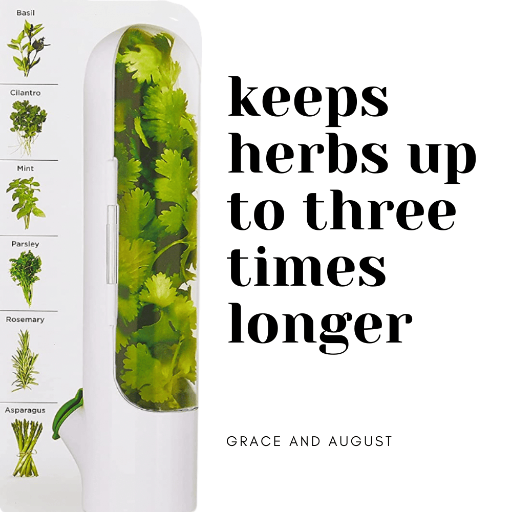 Herb Keeper - Extend Freshness up to 3 weeks, BPA-Free - Clearance Herb Saver