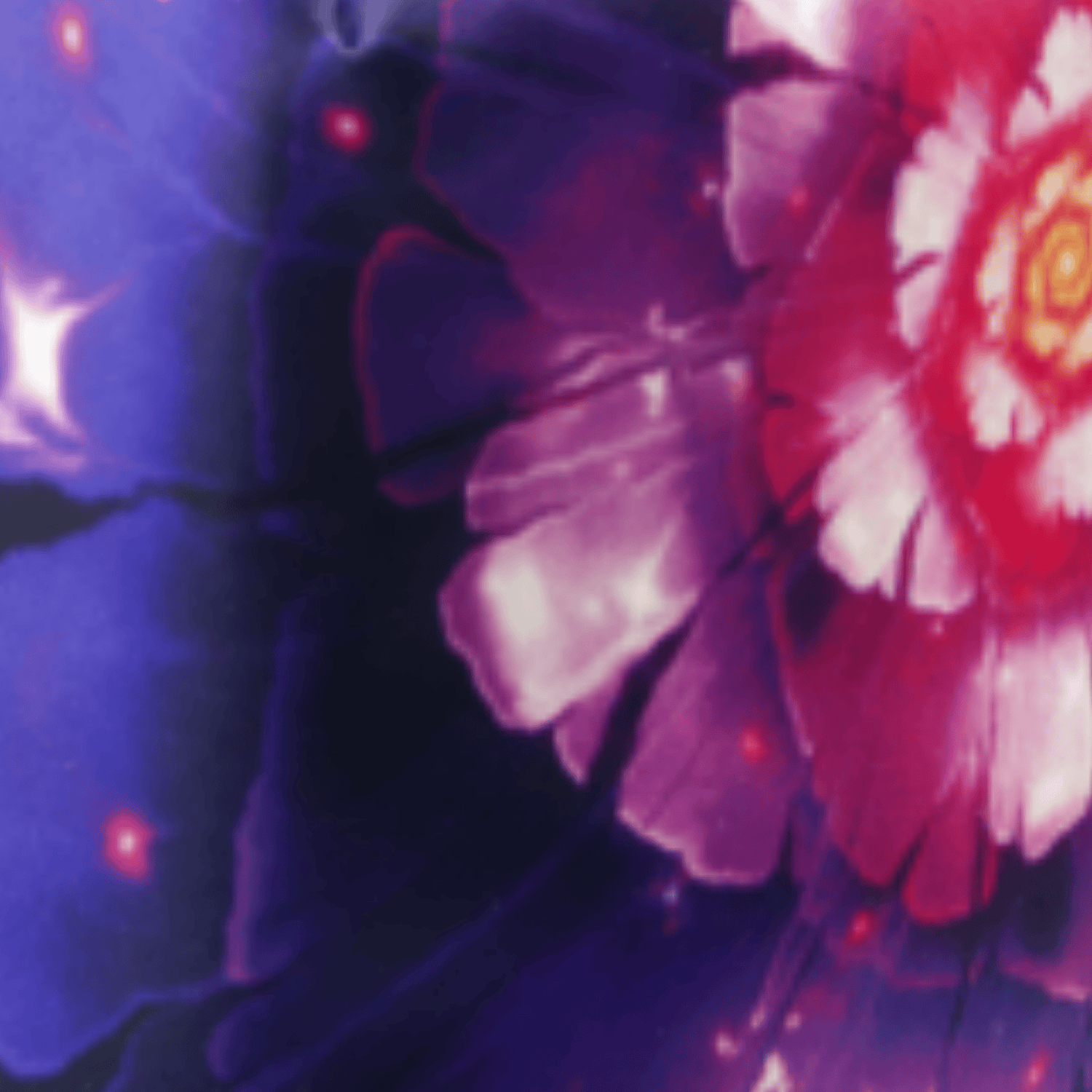 Premium Face Mask Set - 3 Layer  Reusable Face Mask - Pink Beauty Face masks