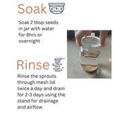 Sprouting Jar lids - Stainless Steel Screen for Wide Mouth Mason Jars - 2 Pack - Clearance Sprout Lids