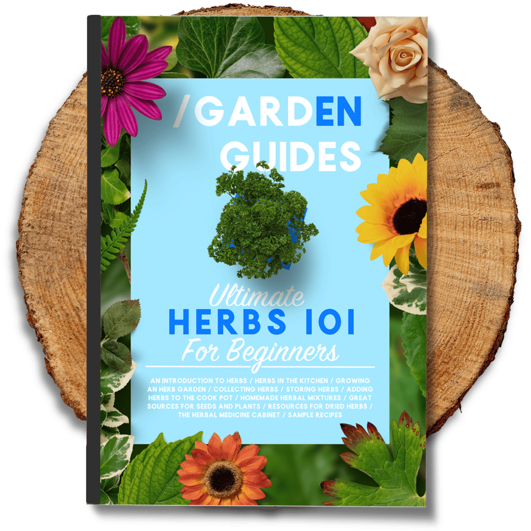 Ultimate Herbs 101 For Beginners