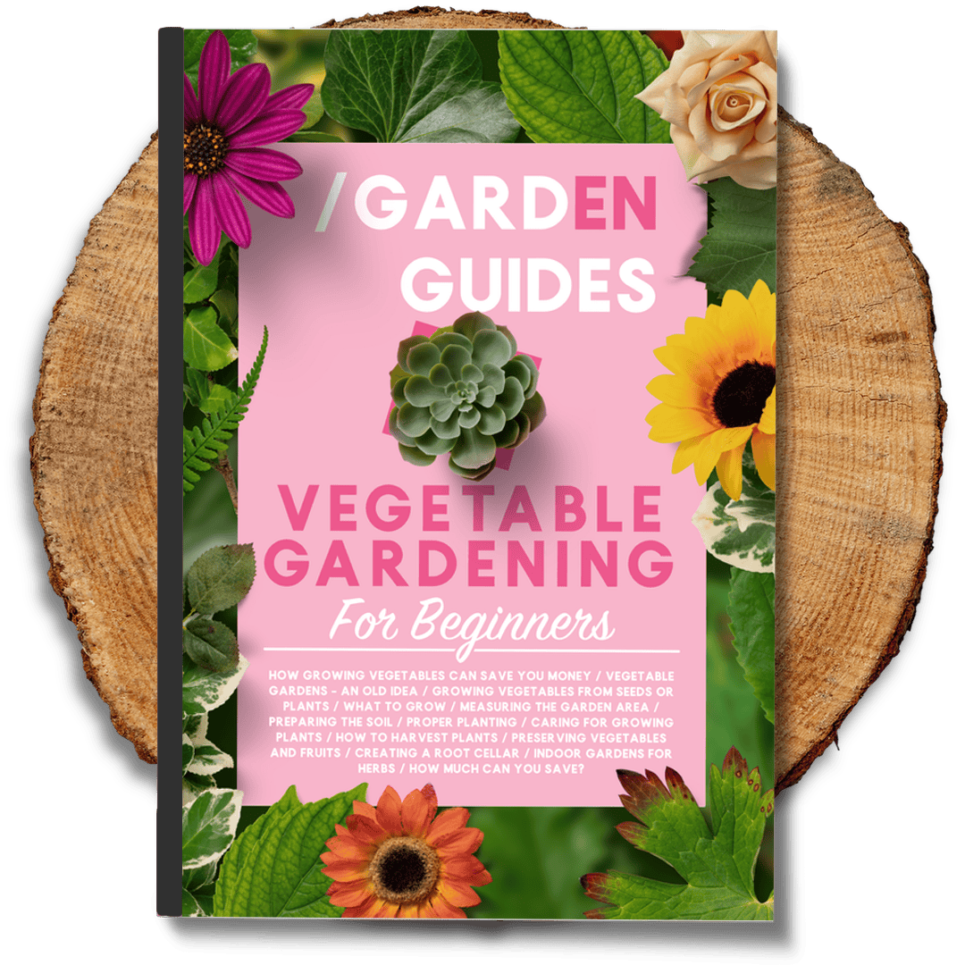 Vegetable Gardening For Beginners